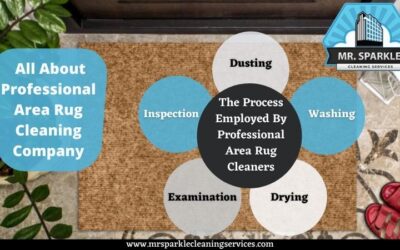 All About Professional Area Rug Cleaning Company
