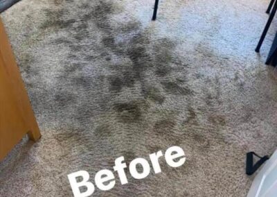 Before Carpet Cleaning